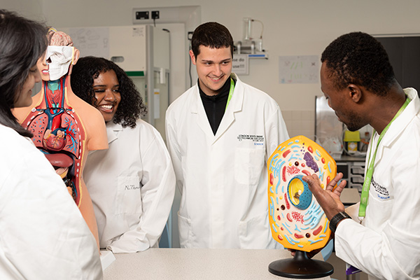 smilinginscience websize