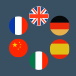 Language icon